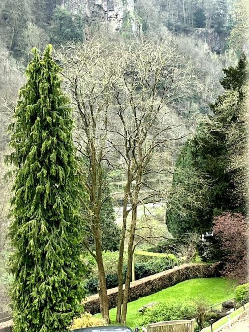 10 Wye Rapids Cottages Symonds Yat Eksteriør bilde
